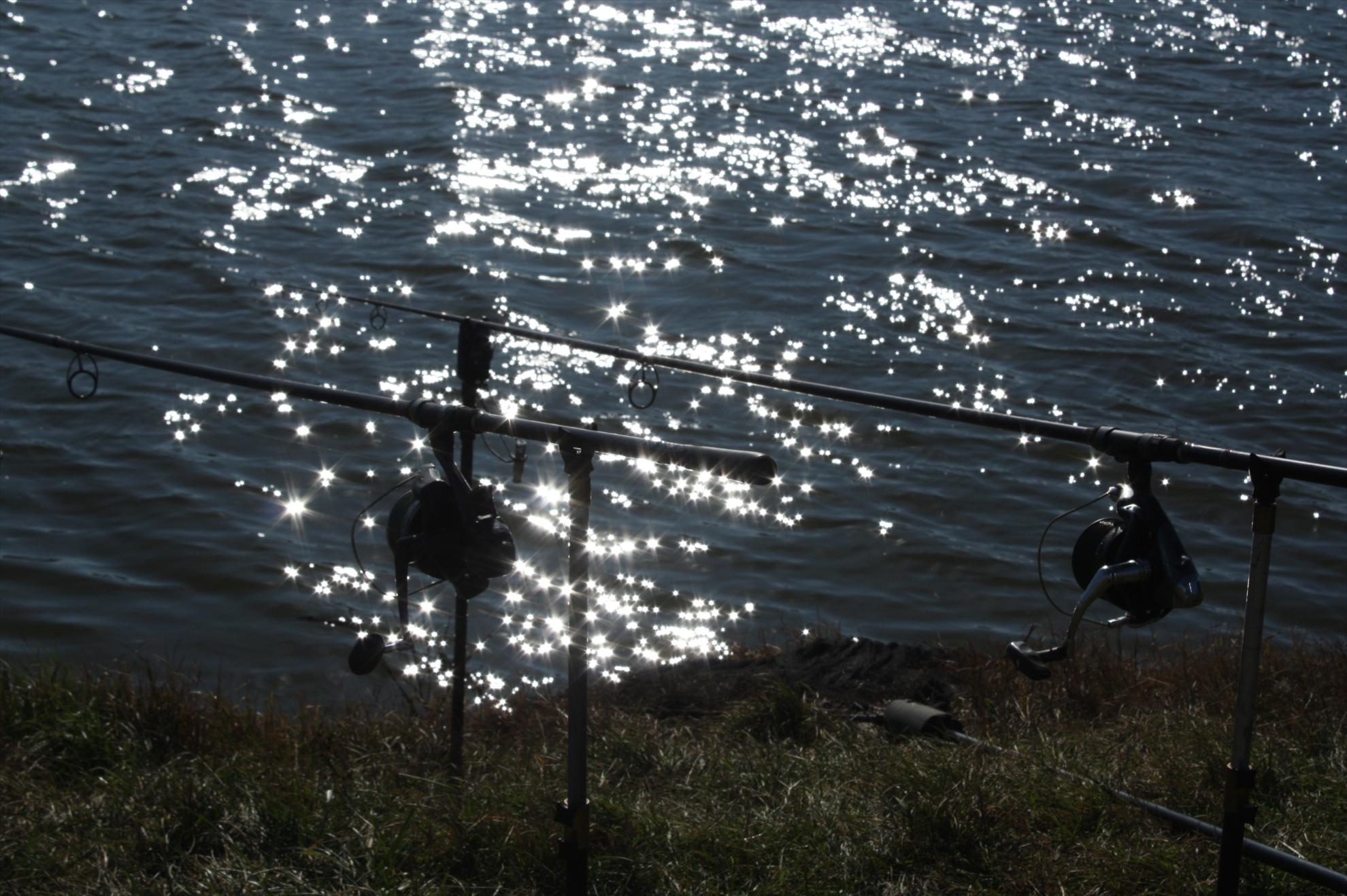 Cupa Iernii MV2 - 2010 - mv2-2010-172.jpg